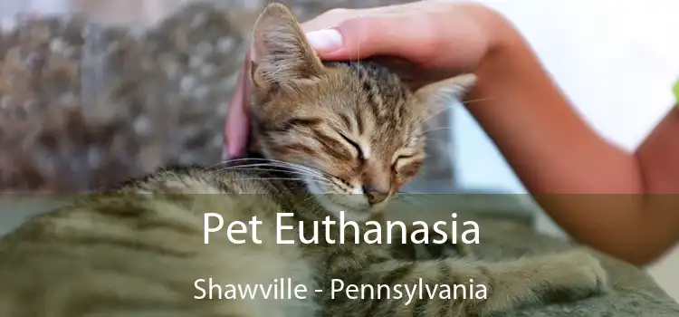 Pet Euthanasia Shawville - Pennsylvania