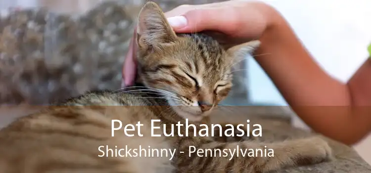 Pet Euthanasia Shickshinny - Pennsylvania