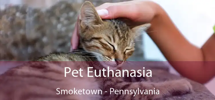 Pet Euthanasia Smoketown - Pennsylvania