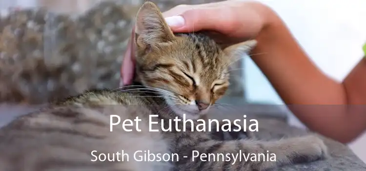 Pet Euthanasia South Gibson - Pennsylvania