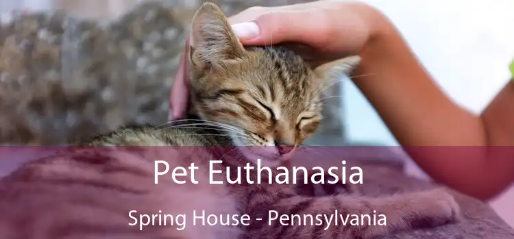 Pet Euthanasia Spring House - Pennsylvania