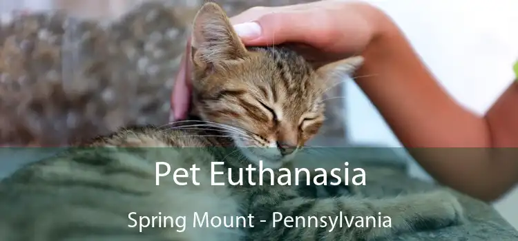 Pet Euthanasia Spring Mount - Pennsylvania