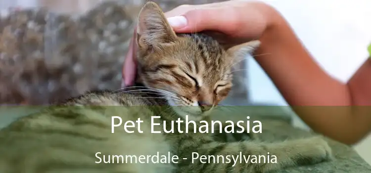 Pet Euthanasia Summerdale - Pennsylvania