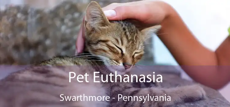 Pet Euthanasia Swarthmore - Pennsylvania