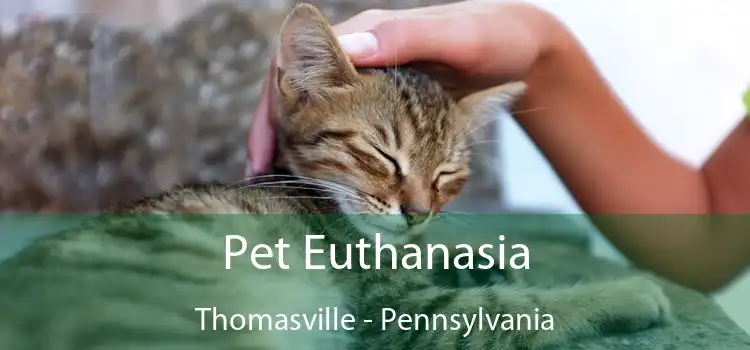 Pet Euthanasia Thomasville - Pennsylvania
