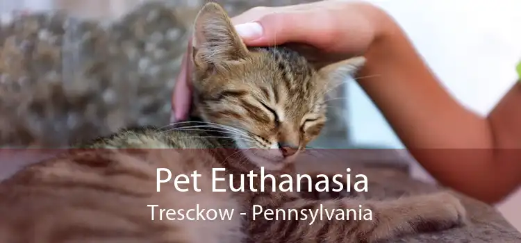 Pet Euthanasia Tresckow - Pennsylvania
