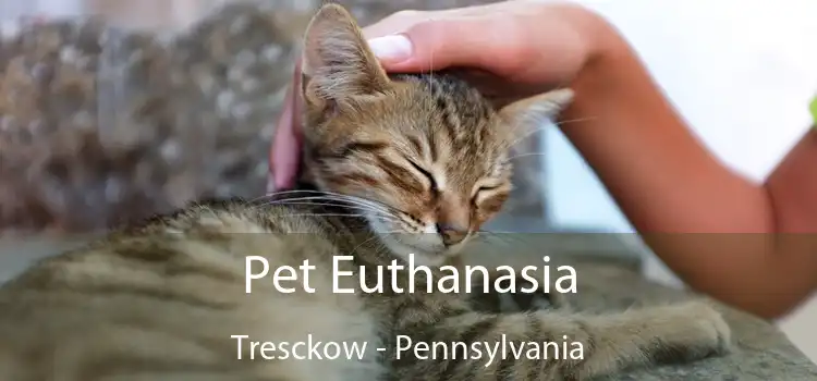 Pet Euthanasia Tresckow - Pennsylvania