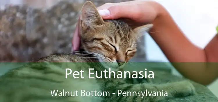 Pet Euthanasia Walnut Bottom - Pennsylvania