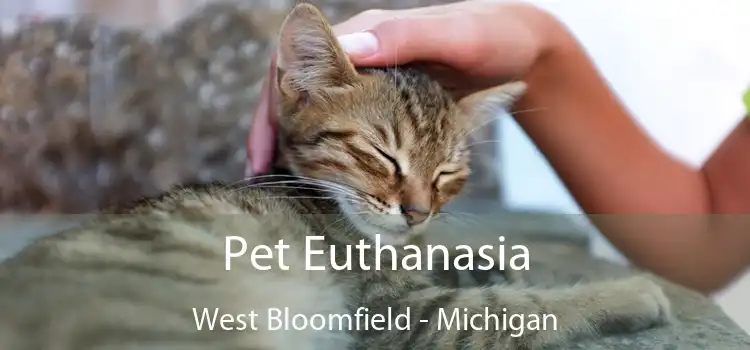 Pet Euthanasia West Bloomfield - Michigan