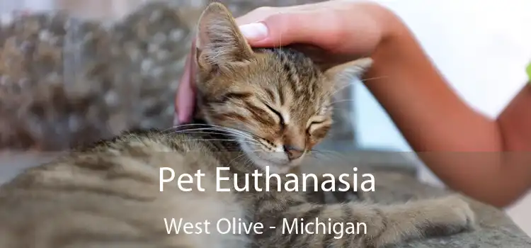 Pet Euthanasia West Olive - Michigan