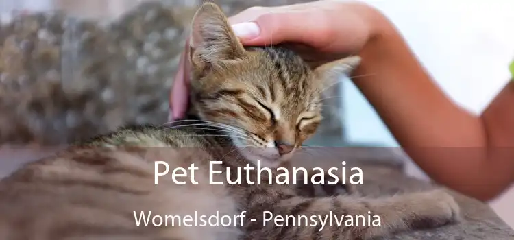Pet Euthanasia Womelsdorf - Pennsylvania