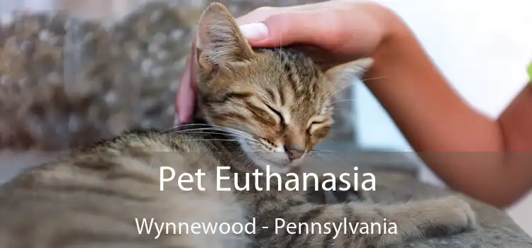 Pet Euthanasia Wynnewood - Pennsylvania