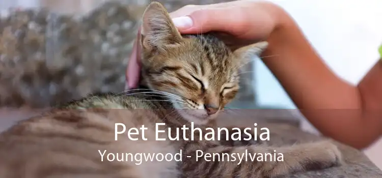 Pet Euthanasia Youngwood - Pennsylvania