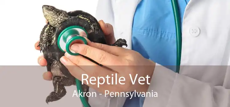 Reptile Vet Akron - Pennsylvania