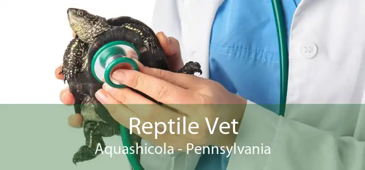 Reptile Vet Aquashicola - Pennsylvania