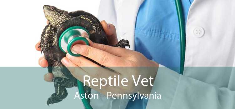 Reptile Vet Aston - Pennsylvania