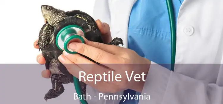 Reptile Vet Bath - Pennsylvania