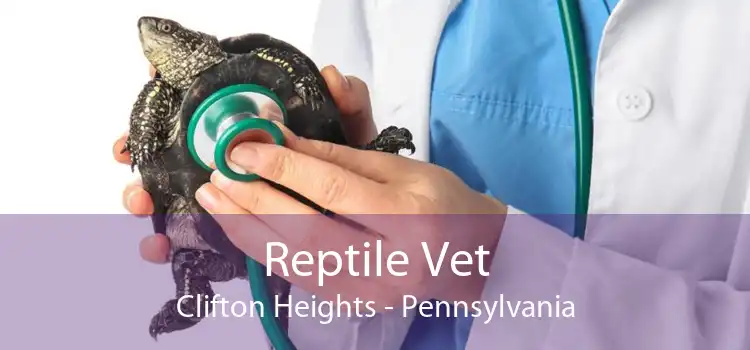 Reptile Vet Clifton Heights - Pennsylvania