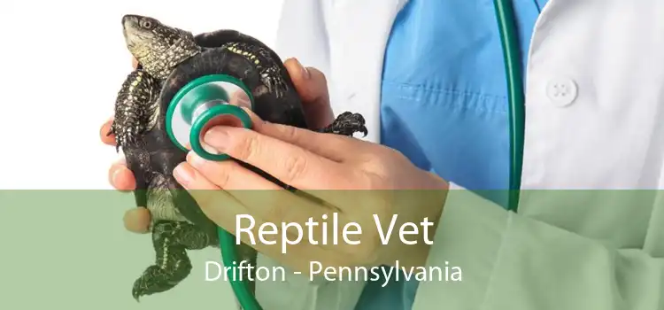 Reptile Vet Drifton - Pennsylvania