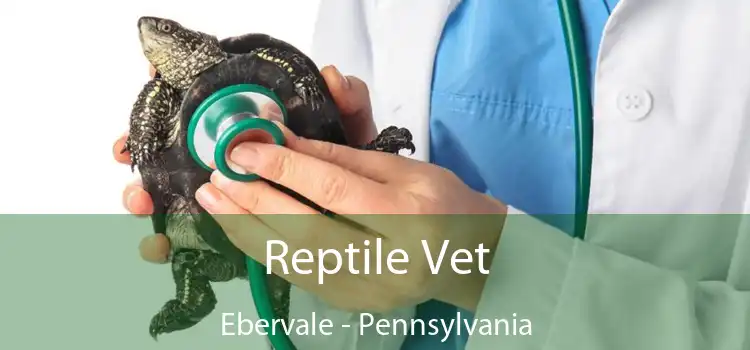 Reptile Vet Ebervale - Pennsylvania