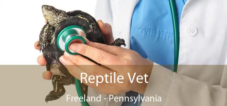 Reptile Vet Freeland - Pennsylvania