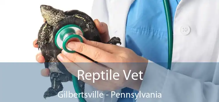 Reptile Vet Gilbertsville - Pennsylvania