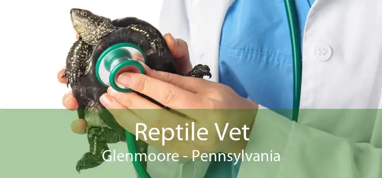 Reptile Vet Glenmoore - Pennsylvania