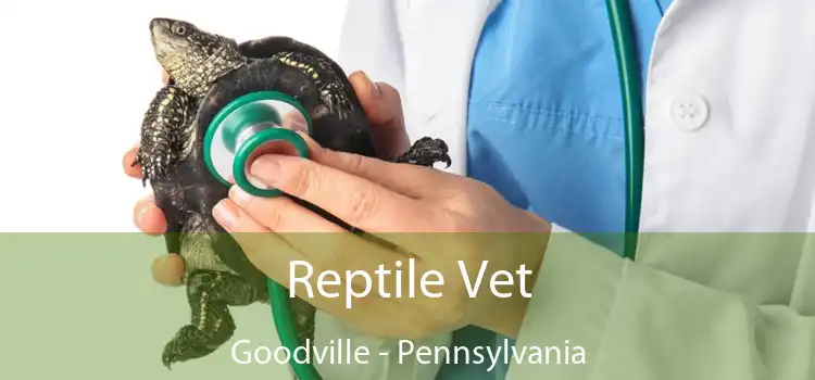 Reptile Vet Goodville - Pennsylvania