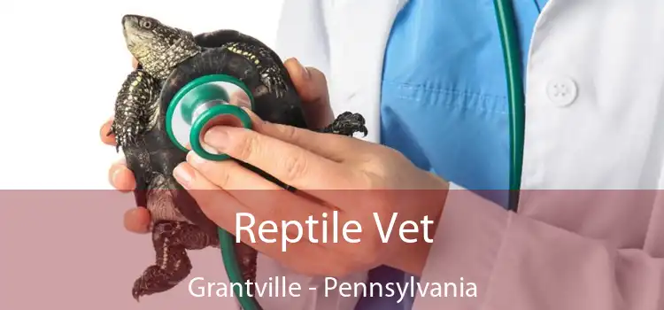 Reptile Vet Grantville - Pennsylvania