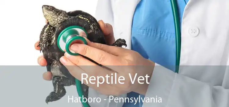 Reptile Vet Hatboro - Pennsylvania