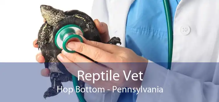 Reptile Vet Hop Bottom - Pennsylvania