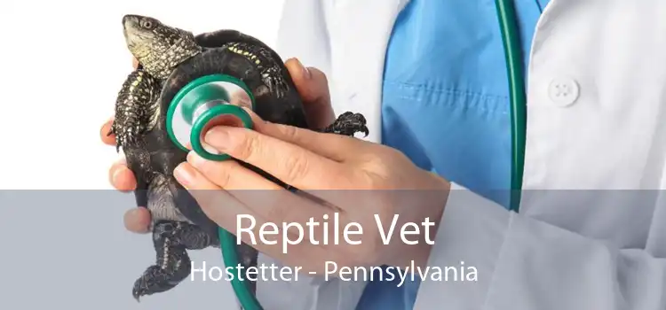 Reptile Vet Hostetter - Pennsylvania