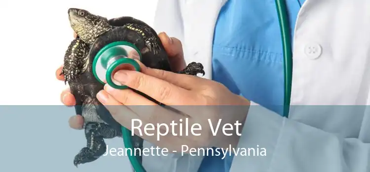 Reptile Vet Jeannette - Pennsylvania