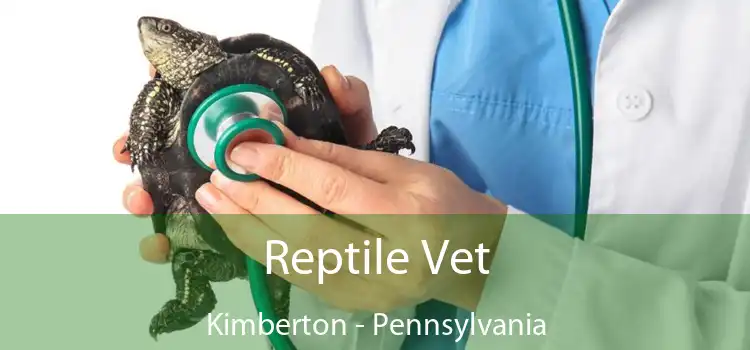 Reptile Vet Kimberton - Pennsylvania