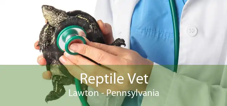 Reptile Vet Lawton - Pennsylvania