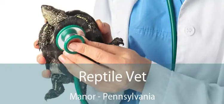 Reptile Vet Manor - Pennsylvania