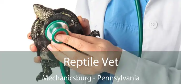 Reptile Vet Mechanicsburg - Pennsylvania