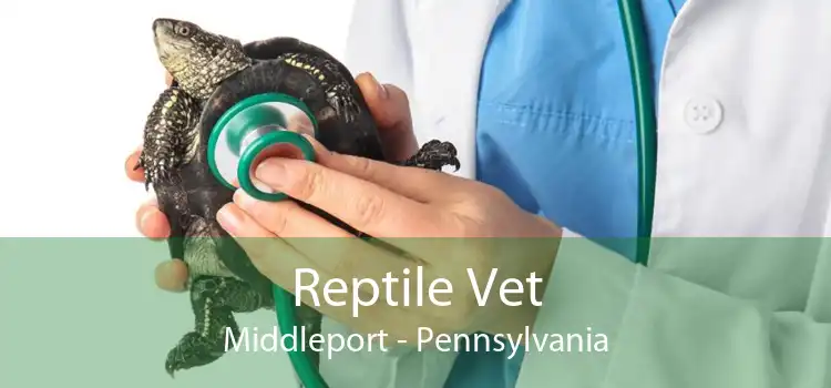 Reptile Vet Middleport - Pennsylvania