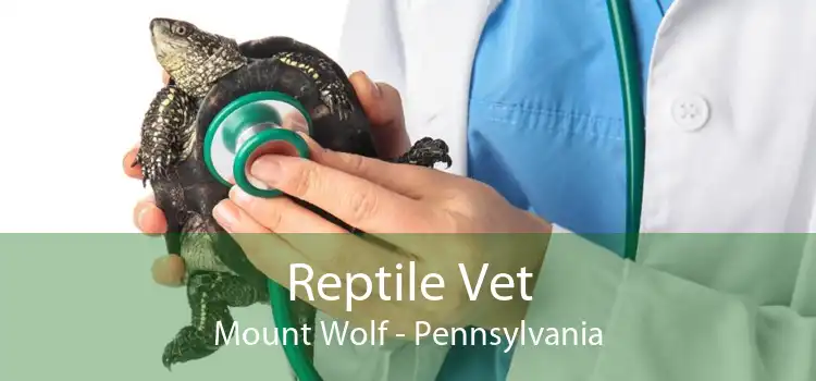 Reptile Vet Mount Wolf - Pennsylvania