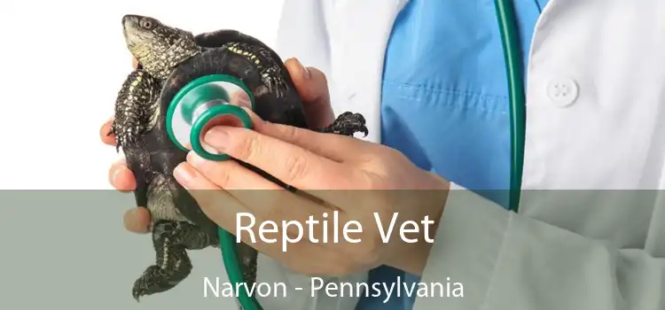 Reptile Vet Narvon - Pennsylvania