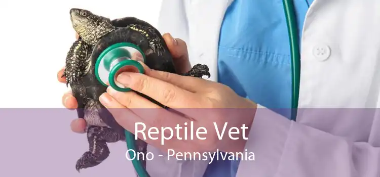 Reptile Vet Ono - Pennsylvania