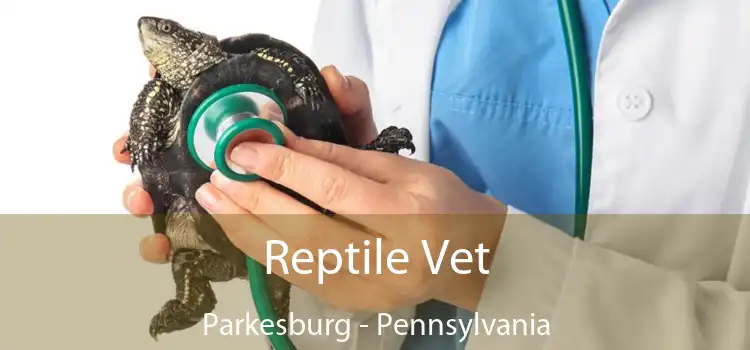 Reptile Vet Parkesburg - Pennsylvania