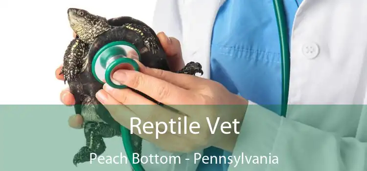 Reptile Vet Peach Bottom - Pennsylvania
