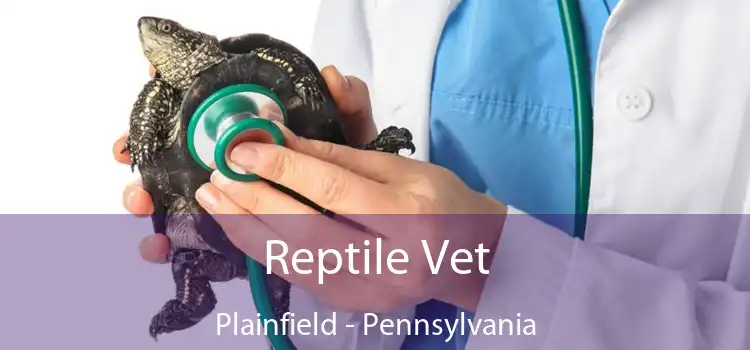 Reptile Vet Plainfield - Pennsylvania