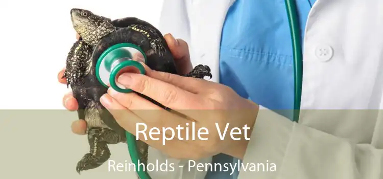 Reptile Vet Reinholds - Pennsylvania