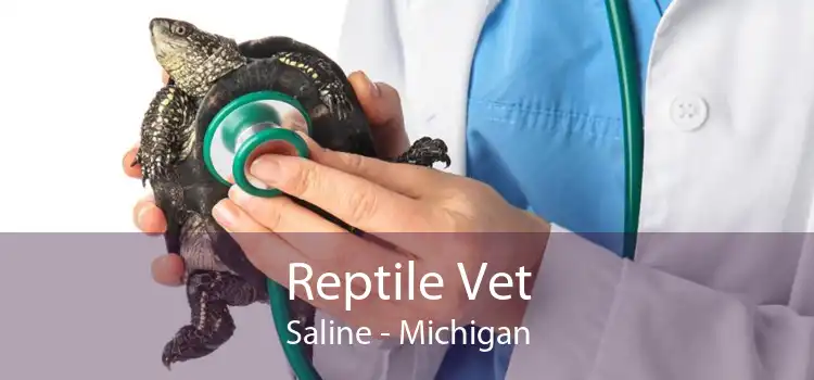 Reptile Vet Saline - Michigan