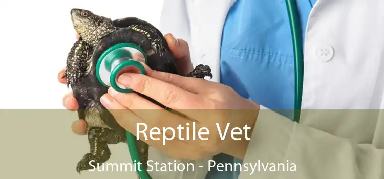 Reptile Vet Summit Station - Pennsylvania