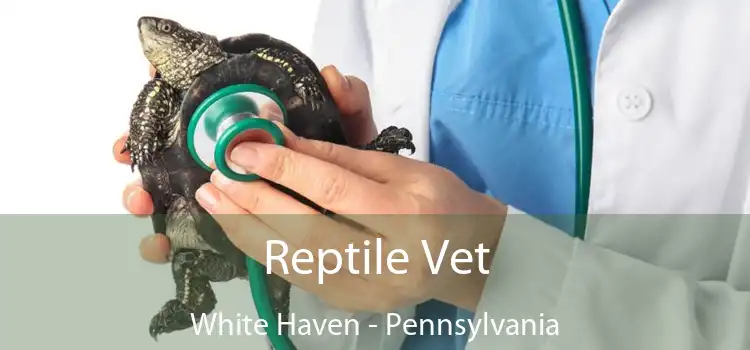 Reptile Vet White Haven - Pennsylvania