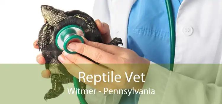 Reptile Vet Witmer - Pennsylvania
