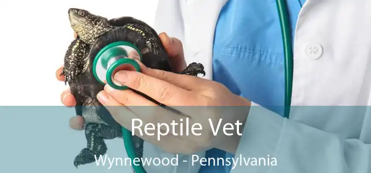 Reptile Vet Wynnewood - Pennsylvania